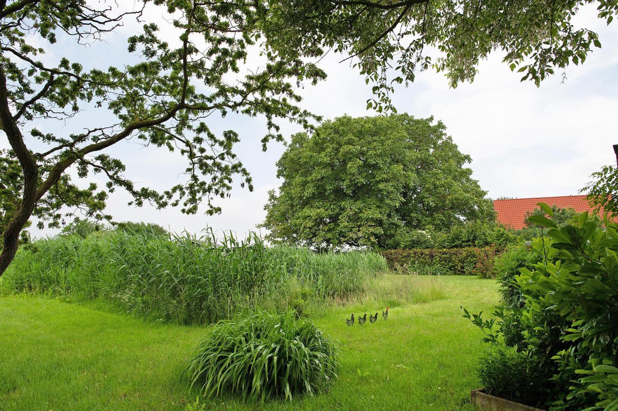 Entenhaus Hilgendorf Екстериор снимка